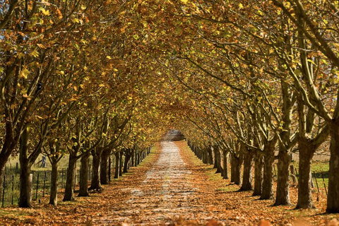 Private Southern Highlands Day Trip From Sydney Including Fitzroy Falls - Schoolies Week Accommodation 4