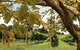 Private Southern Highlands Day Trip From Sydney Including Fitzroy Falls - thumb 5