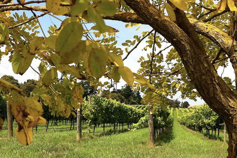 Private Southern Highlands Day Trip From Sydney Including Fitzroy Falls - Schoolies Week Accommodation 5