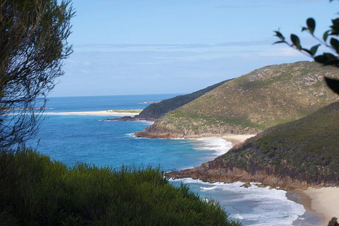 Private Port Stephens Day Trip From Sydney Including Dolphin Cruise - Schoolies Week Accommodation 0