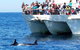 Private Port Stephens Day Trip From Sydney Including Dolphin Cruise - thumb 2