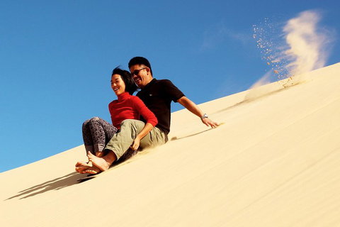 Private Port Stephens Day Trip From Sydney Including Dolphin Cruise - Schoolies Week Accommodation 3