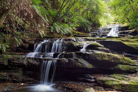 Private All Blue Mountains Day Tour - Schoolies Week Accommodation 1