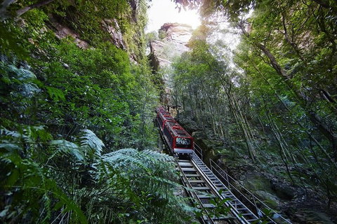 Private All Blue Mountains Day Tour - Schoolies Week Accommodation 3