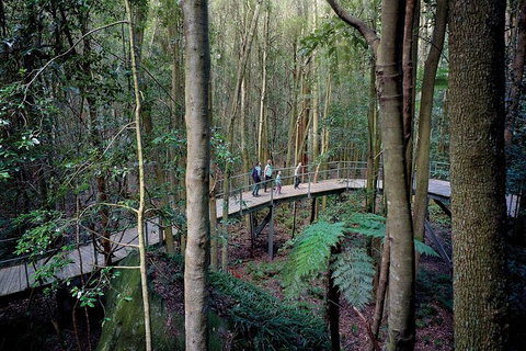 Private All Blue Mountains Day Tour - Schoolies Week Accommodation 4