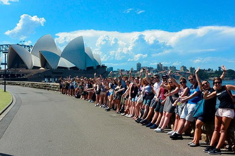 7-Day Tour In Sydney With Airport Pickup - Schoolies Week Accommodation 3