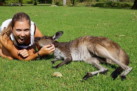 7-Day Tour In Sydney With Airport Pickup - Schoolies Week Accommodation 4