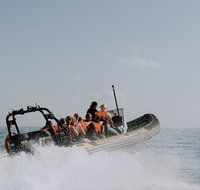 Adventure Whale Watching Tour Mooloolaba - Schoolies Week Accommodation