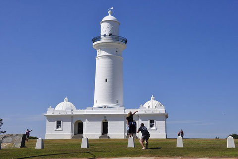 Sydney Sightseeing Bus Tours - Schoolies Week Accommodation 5