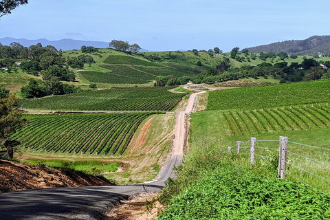 The Complete Hunter Valley Wine Tour Of Pokolbin, Mt View, Lovedale And Rothbury - Schoolies Week Accommodation 0