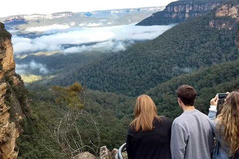 Blue Mountains Private Tour - Wild Kangaroos, Waterfalls And The Three Sisters - Schoolies Week Accommodation 3