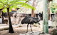 Sydney Taronga Zoo General Entry Ticket And Wild Australia Experience - thumb 0