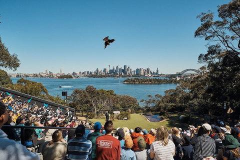 Sydney Taronga Zoo General Entry Ticket And Wild Australia Experience - Schoolies Week Accommodation 5