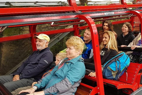 Blue Mountains Ultimate One-Day Tour - Schoolies Week Accommodation 0