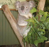 Blue Mountains PRIVATE day tour - Schoolies Week Accommodation