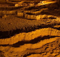 The Explorers' Discovery Tour - Gold Wine  Wildlife - Schoolies Week Accommodation