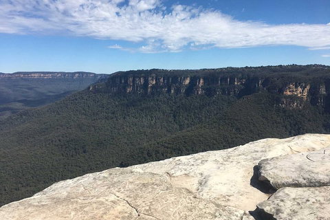 The Explorers' Discovery Tour - Gold, Wine & Wildlife - Schoolies Week Accommodation 1