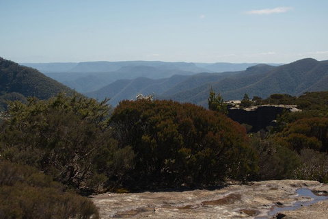 The Explorers' Discovery Tour - Gold, Wine & Wildlife - Schoolies Week Accommodation 3