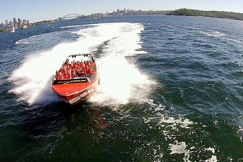 Sydney Harbour Jet Boat Thrill Ride: 30 Minutes - Schoolies Week Accommodation 0