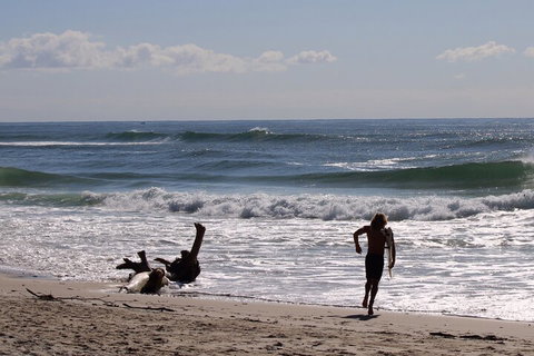 Private Surf Coaching Session In New South Wales - Schoolies Week Accommodation 3