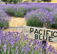 Kangaroo Island Food and Wine Trail Tour - Schoolies Week Accommodation