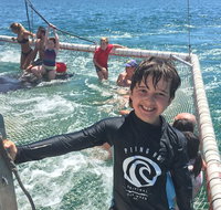 Port Stephens Private Tour From Sydney with Dolphin/ Whale Cruise Options - Schoolies Week Accommodation