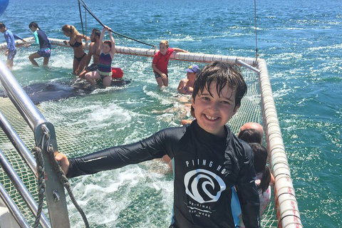 Port Stephens Private Tour From Sydney, With Dolphin/ Whale Cruise Options - Schoolies Week Accommodation 0