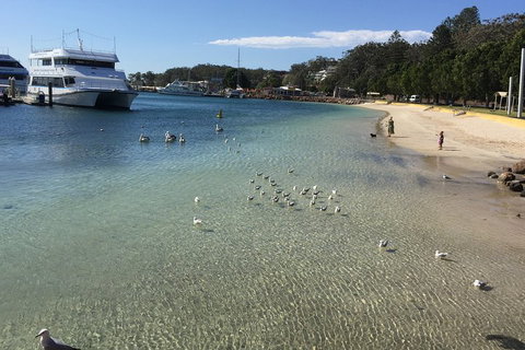 Port Stephens Private Tour From Sydney, With Dolphin/ Whale Cruise Options - Schoolies Week Accommodation 1