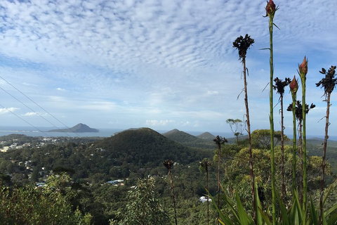 Port Stephens Private Tour From Sydney, With Dolphin/ Whale Cruise Options - Schoolies Week Accommodation 3
