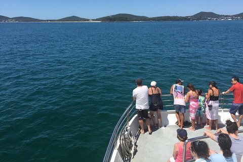 Port Stephens Private Tour From Sydney, With Dolphin/ Whale Cruise Options - Schoolies Week Accommodation 4