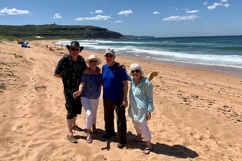 Shore Excursion: Sydney's Northern Beaches & Ku-ring-gai National Park Bus Tour - Schoolies Week Accommodation 3