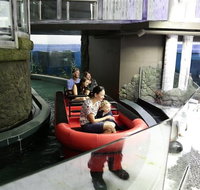 Sydney Attractions Pass SEA LIFE Aquarium Sydney Tower Eye WILD LIFE Zoo and Madame Tussauds - Schoolies Week Accommodation