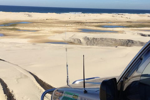 Port Stephens Bush, Beach And Sand Dune 4WD Passenger Tour - Schoolies Week Accommodation 5