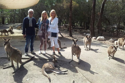 Private Scenic Day Trip From Sydney For Families And Friends - Schoolies Week Accommodation 1