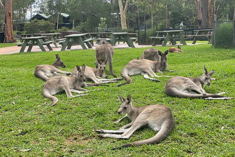 Private Scenic Day Trip From Sydney For Families And Friends - Schoolies Week Accommodation 4