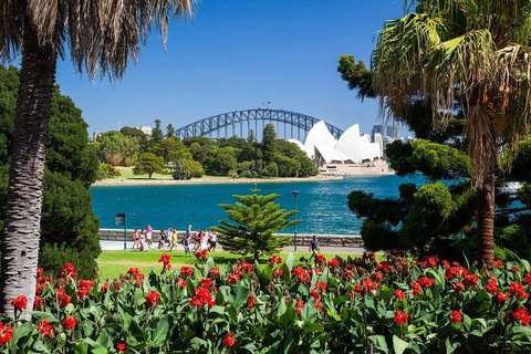 Sydney Luxury Private Shore Excursion | 6 Hr Tour | Departs From Cruise Terminal - Schoolies Week Accommodation 5