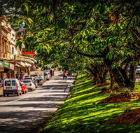 Fully Inclusive Blue Mountains Private Tour inc Scenic World  Featherdale entry - Schoolies Week Accommodation