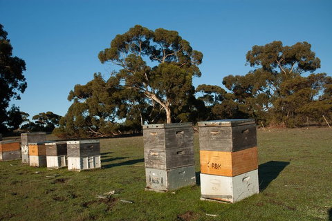 Fine Flavours - Full Day Kangaroo Island Food & Wine Tour - Schoolies Week Accommodation 1