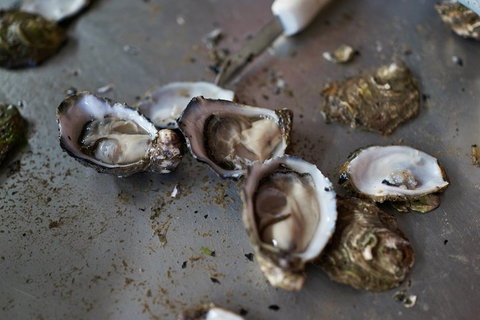 Fine Flavours - Full Day Kangaroo Island Food & Wine Tour - Schoolies Week Accommodation 2