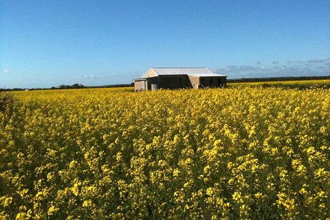 Fine Flavours - Full Day Kangaroo Island Food & Wine Tour - Schoolies Week Accommodation 3