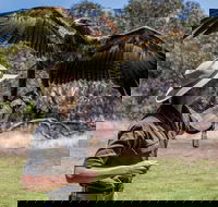 One Day Kangaroo Island Sip  See tour with return ferry transfers from Adelaide - Schoolies Week Accommodation