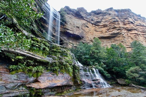 Blue Mountains Sunset Tour | Kangaroos & Koala Encounter (Private Tour) - Schoolies Week Accommodation 2