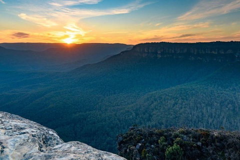 Blue Mountains Sunset Tour | Kangaroos & Koala Encounter (Private Tour) - Schoolies Week Accommodation 5