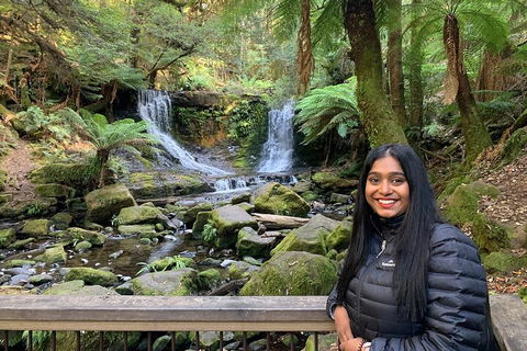 Day Tour In Mt. Field, Mt. Wellington, Bonorong Wildlife Sanctuary And Richmond - Schoolies Week Accommodation 5