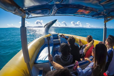 Ocean Rafting Tour To Whitehaven Beach, Hill Inlet Lookout & Top Snorkel Spots - Schoolies Week Accommodation 4