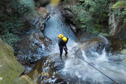 Full-Day Canyoning Experience At Stunning Empress Canyon - Schoolies Week Accommodation 4