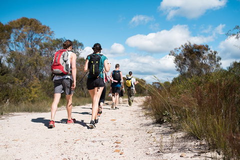 Pittwater Discovery Kayaking Tour - Schoolies Week Accommodation 0