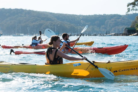 Pittwater Discovery Kayaking Tour - Schoolies Week Accommodation 2