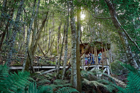 Private Blue Mountains Tour - Schoolies Week Accommodation 4