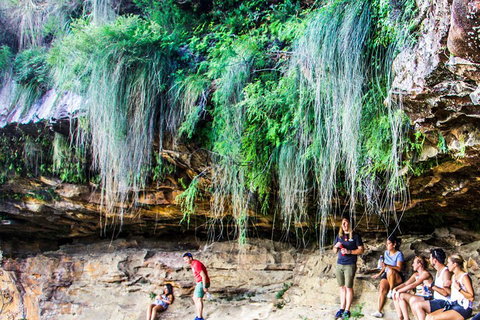 Sunset Blue Mountains Wilderness & Wildlife Tour Without The Crowds - Schoolies Week Accommodation 1